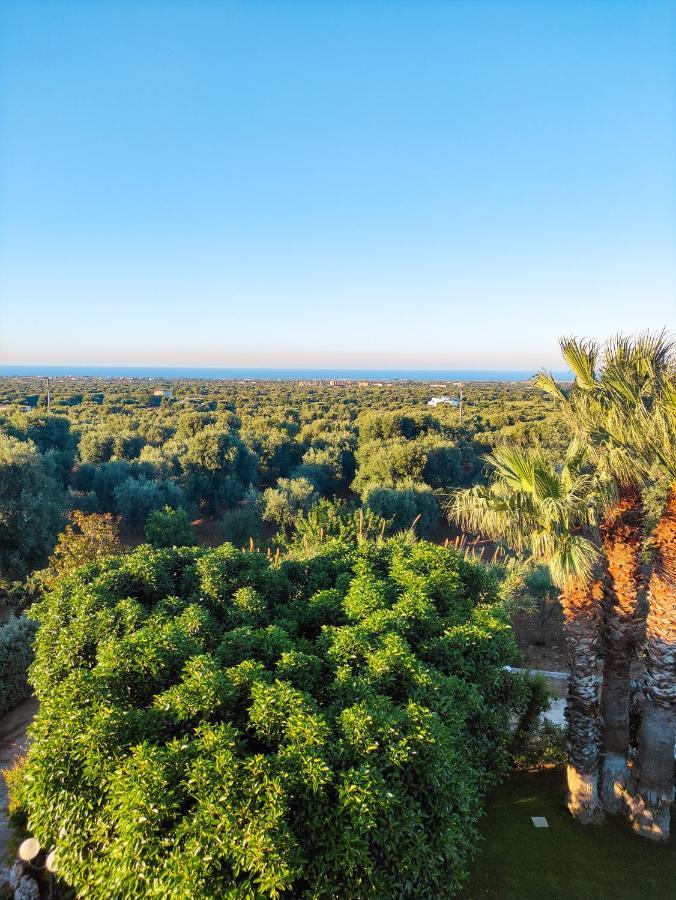 Masseria La Foggia